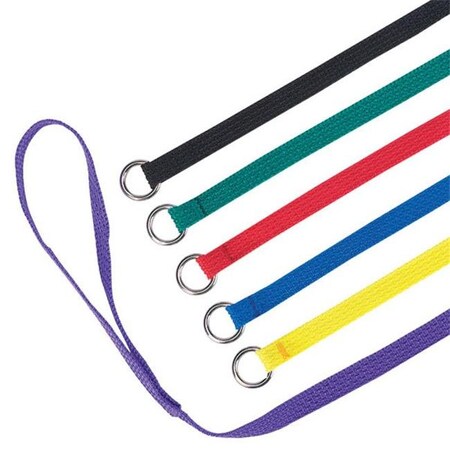 Guardian Survival Gear Guardian Gear TP88992 Kennel Leads 6 Ft 6-Pk Asst Colors TP88992